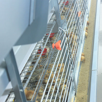 Poultry Farming 1-45 Days Broiler Equipment SGS Battery Cage System