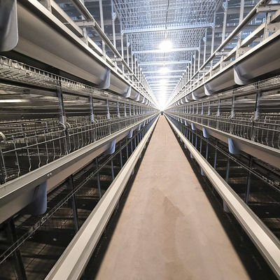 Q235 Steel Broiler Cage System , 108-144 Birds 4 Tier Layer Cage