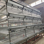 4 Doors q235 H Type Battery Broiler Equipment 3 Layers Poultry Shed