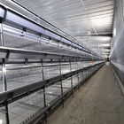 2.8m Height 2.5mm Layer HDG Broiler Chicken Farming Equipment Cage Hygienic