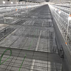 2.8m Height 2.5mm Layer HDG Broiler Chicken Farming Equipment Cage Hygienic