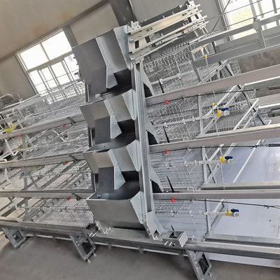 Battery 192 Birds Layer Hen Cage , SGS W1200mm Broiler Poultry Equipment