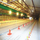 380v 3phase Chicken Raising Equipment , ISO9001 Chicken Battery Cage