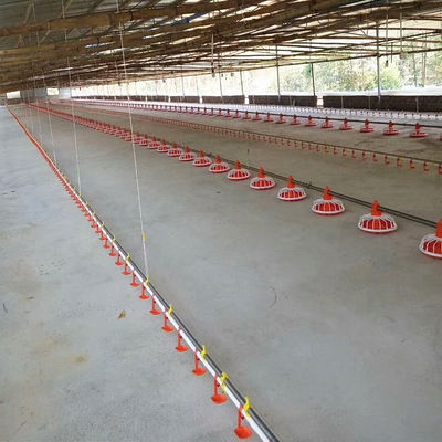 4pan/3m Poultry Raising Equipment