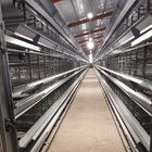 8.67m/Min Livestock Automatic Chicken Feeder System , SGS 0.75kw Chicken Feed For Laying Hens