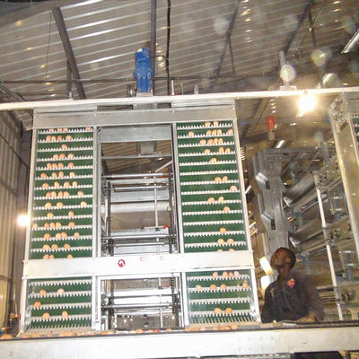 10cm Egg Processing Equipment , Siemens Motor 1.5kw Egg Laying Chicken Cages