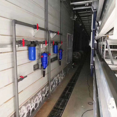 H-Type Automatic Battery Cage System with Hot Dip Galvanizing and Stackable Modular Design for Commercial Meat Chicken Cage
