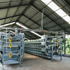 H Frame Battery Type Breeding Cages Modern Farm Layer Farming Equipment