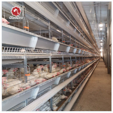 Hot-Dip Galvanized H-Type Layer Cage System Fully Automatic Poultry Farming Equipment with 15–20 Year Lifespan