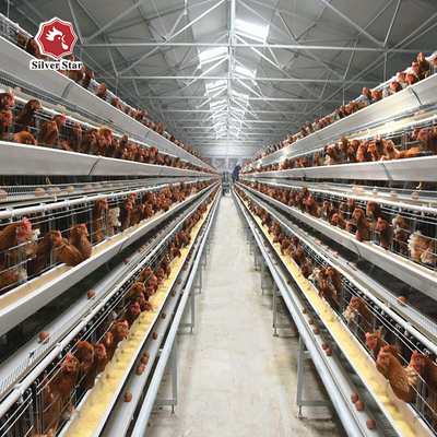 H Shaped Small Stacked Layer Chicken Cage 6 Layers Customized