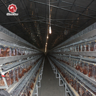 A Type Chicken Animal Cage Complete Poultry Project Farm Equipment 5 Tiers