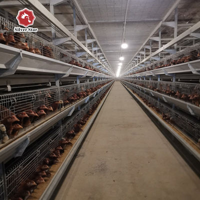 Fully Automated Hot-Dip Galvanized H-Type Broiler Cage System for High-Density Poultry Farming