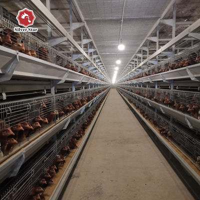 Commercial H Type Broiler Cage System for Large Scale Poultry Farms