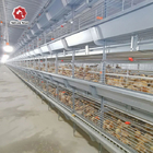 Galvanized 150 Broiler Chicken Poultry Cage SGS Certificated