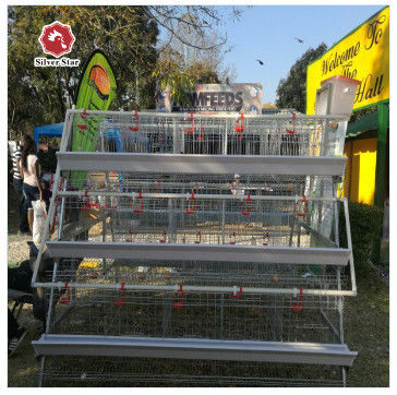 Fully Automated Hot-Dip Galvanized H-Type Broiler Cage System for High-Density Poultry Farming