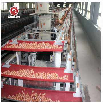 Long Time A Type Farm Chicken Battery Cages For Layers