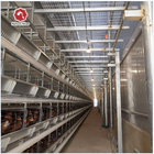 Broilers 4 Tiers Chicken Poultry Cage Automatic Manure Removal System