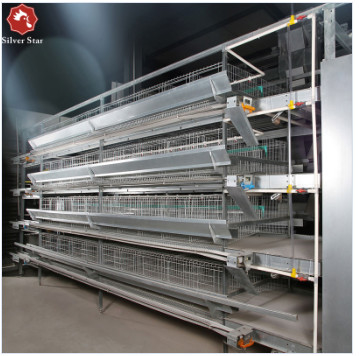 192 Chickens / Set H Type Battery Chicken Cage Chicken Farming Cage Automatic