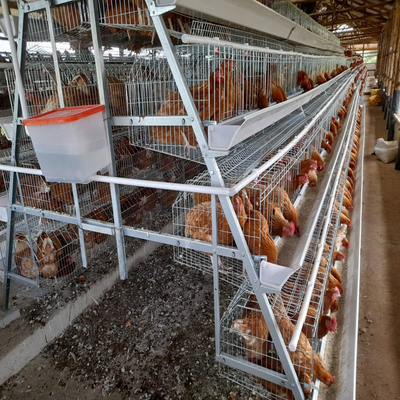 A Type Hot Galvanized Baby Chick Cage 4 Tiers 168 Birds