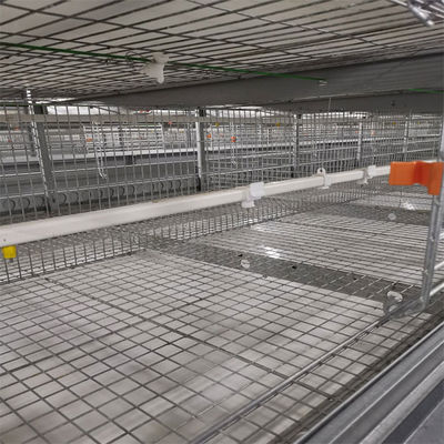 Automated H-Type Broiler Cage System - High-Density Hot-Dip Galvanized Poultry Farming Equipment