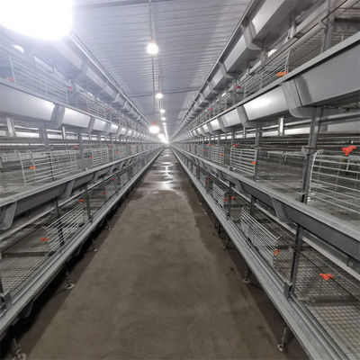 Automated H-Type Broiler Cage System - High-Density Hot-Dip Galvanized Poultry Farming Equipment