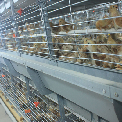 Hot Galvanized Battery Chicken Cage For Broiler 17 Chicks / Cell