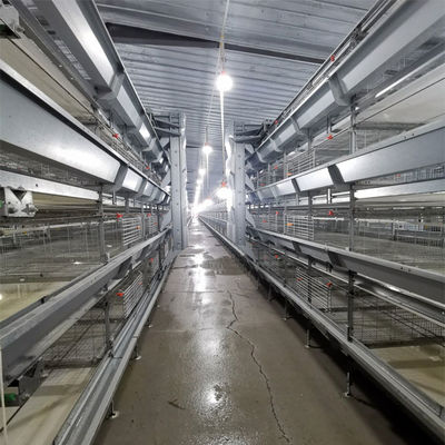 Fully Automated Hot-Dip Galvanized H-Type Broiler Cage System for High-Density Poultry Farming