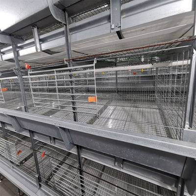 Automated H-Type Meat Broiler Cage System - Hot-Dip Galvanized High-Density Commercial Poultry Farming Equipment