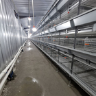 Hot Galvanized Battery Chicken Cage For Broiler 17 Chicks / Cell