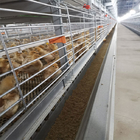 Poultry Farm Broiler Chicken Cage Galvanized Steel Automatic H Type Q235A