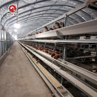 H Type Layer Chicken Cage Hot Dipped Galvanised Chicken Farm
