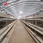 44*50*41 Cm Layer Chicken Cage Hot Dipped Galvanized