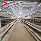 44*50*41 Cm Layer Chicken Cage Hot Dipped Galvanized