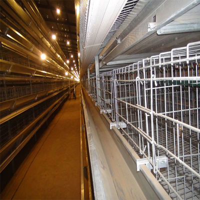 Commercial H-Type Layer Cage from Reliable Supplier & Manufacturer | Safe Delivery & Container Loading