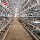 Stainless Steel Layer Poultry Farm Cage H type 54 birds / set