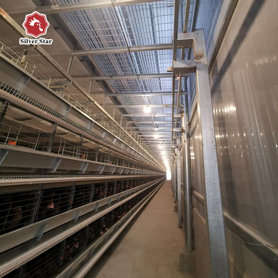 Turnkey H-Type Layer Battery Cage Project Solution for 50,000+ Chicken Farms