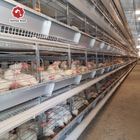 Complete Automatic Layer H Type Poultry Cage 380V Silver Color