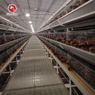 One Day To 45 Days Broiler Chicken Cage For Chicken Farm