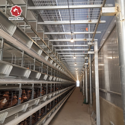 4 Layer Battery H Type Chicken Egg Laying Hens Poultry Cage With Automatic Egg Collection System
