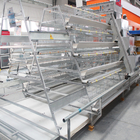 A Type Layer Chicken Cage Installation Provide