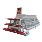 Full Automatic A Type Layer Chicken Cage