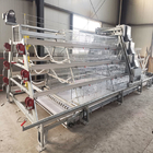 Cold Hot Galvanized A Type Broiler Baby Chick Cage High Feeding Efficiency