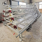 Hot Galvanized A Type Broiler Baby Chick Cage