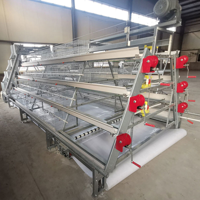 4 Tier Battery Baby Chicken Cages Layer A Type Pullet Hot Galvanized