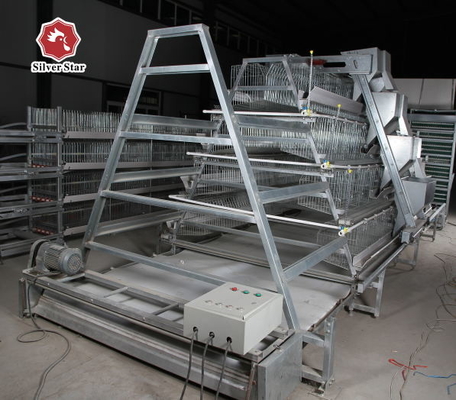 Automatic Galvanized Meat Chick Brooder Cage A Type ISO9001