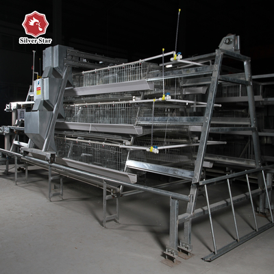 Hot Galvanized  Full Automatic Baby Chick Cage