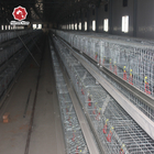 Hot Galvanized  Full Automatic Baby Chick Cage