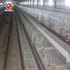 Q235 Bridge Steel Baby Chick Cage Layer Chicken Cage , SGS Manure Removing