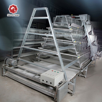 Full Automatic Manure Cleaning System Baby Chick Cage