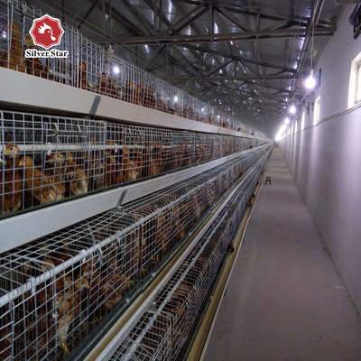 Hot Galvanized Q235 Chicken Raising Equipment Multi Layer